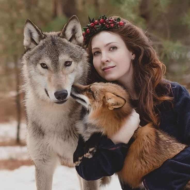 Visual Hook: A harmonious portrait of a person embracing a fox, with a wolf standing cl...